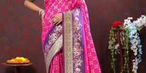 Palakhi Patola Soft Silk Saree