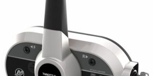 Mercury 20 HP Shaft EFI Outboard Motor