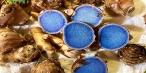 GVEI Black Turmeric Flakes