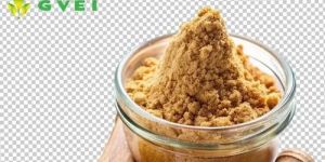 GVEI Spray Dried Ginger Powder