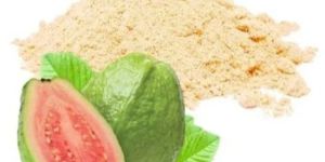 GVEI Spray Dried Guava Powder