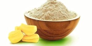 GVEI Spray Dried Jackfruit Powder