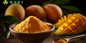 GVEI Spray Dried Mango Powder
