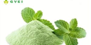 GVEI Spray Dried Mint Powder