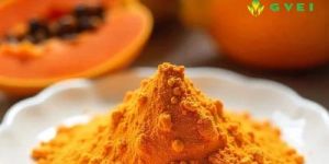 GVEI Spray Dried Papaya Powder