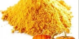 GVEI Spray Dried Pumpkin Powder