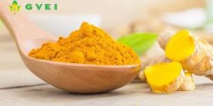 GVEI Spray Dried Turmeric Powder