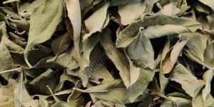 Dry Curry Leaves