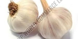 Organic Fresh Garlic