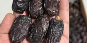 Safawi Dates