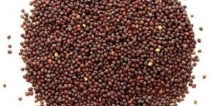 Mustard Seeds
