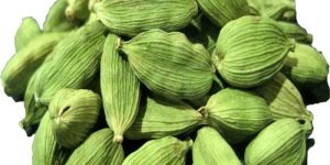 Green Cardamom