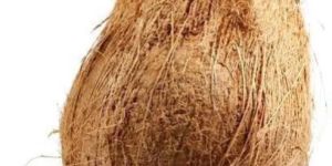 Semi Husked Native Pollachi Coconut