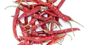 Teja S17 Dry Red Chilli