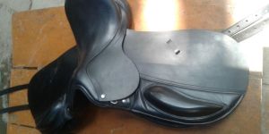 Dressage Horse Bridle