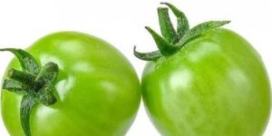 Fresh Green Tomato