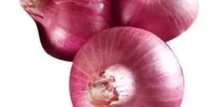 Fresh Pink Onion