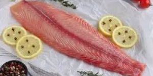 Fresh Indian Basa Fish Boneless