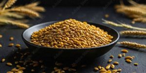 Wheat Grains