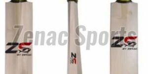 Kashmir Willow Cricket Bat