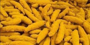 Salem Dried Turmeric Finger