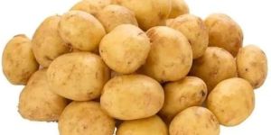 B Grade Fresh Potato