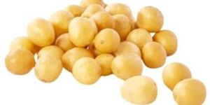 Fresh Baby Potato