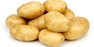 Fresh Sweet Potato