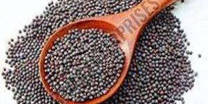 Black Mustard Seeds