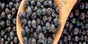 Black Pepper Seeds