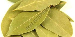 Dried Bay Leaves