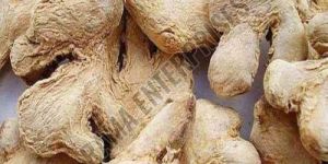 Dried Ginger