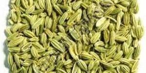 Fennel Seeds