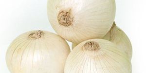 Fresh White Onion