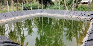 Rainwater Harvesting Pond Services