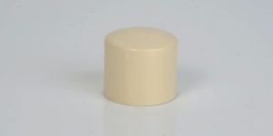 1.1/4 Inch CPVC End Cap