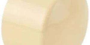 3/4 Inch CPVC End Cap