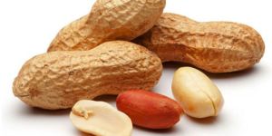 Whole Groundnut