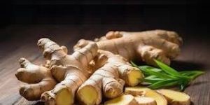 Organic Ginger