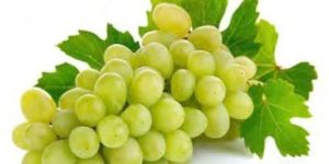 Fresh Green Grapes
