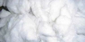 Raw Cotton