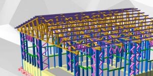 Professional Prota Structure Suite Software