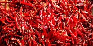 Bangaram Dried Red Chilli