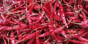 Teja Dried Red Chilli