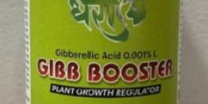 Gibberellic Acid