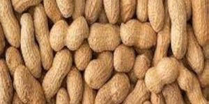 Shelled Groundnuts