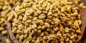 Fenugreek Seeds