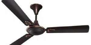 Ceiling Fans