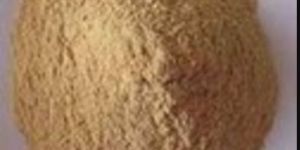 Wood Dust Powder