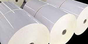 Plain Mirror Coat Label